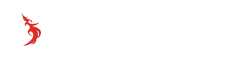 DRAGON CONTENTS